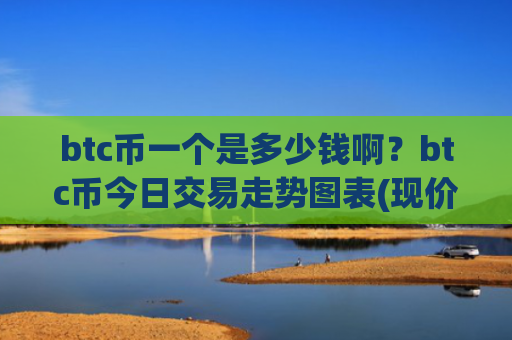 btc币一个是多少钱啊？btc币今日交易走势图表(现价709635.19元)
