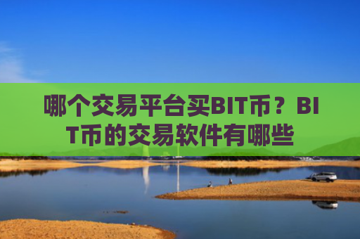 哪个交易平台买BIT币？BIT币的交易软件有哪些