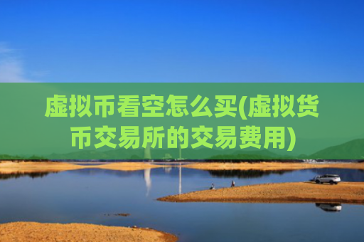 虚拟币看空怎么买(虚拟货币交易所的交易费用)