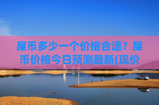 屎币多少一个价格合适？屎币价格今日预测最新(现价0.0002245元)