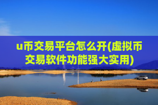 u币交易平台怎么开(虚拟币交易软件功能强大实用)