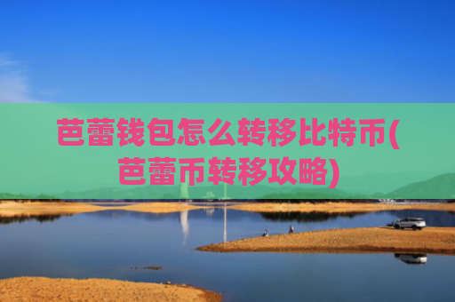 芭蕾钱包怎么转移比特币(芭蕾币转移攻略)