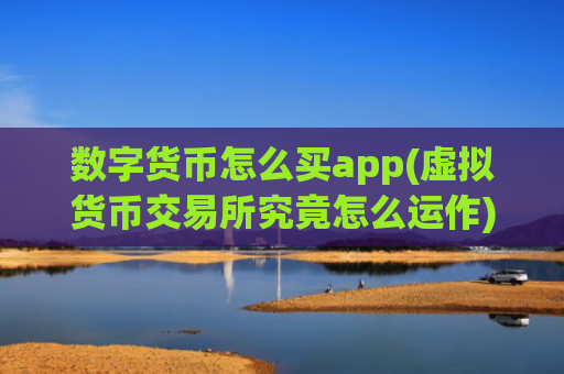 数字货币怎么买app(虚拟货币交易所究竟怎么运作)