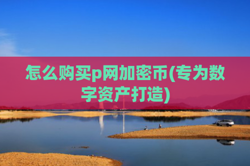 怎么购买p网加密币(专为数字资产打造)