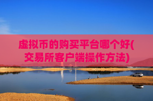虚拟币的购买平台哪个好(交易所客户端操作方法)
