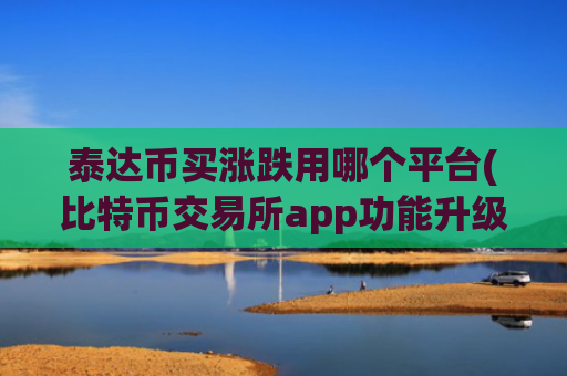 泰达币买涨跌用哪个平台(比特币交易所app功能升级)