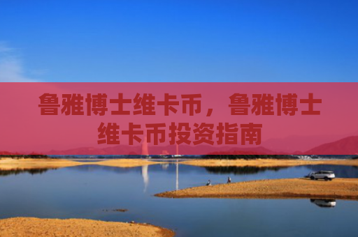 鲁雅博士维卡币，鲁雅博士维卡币投资指南