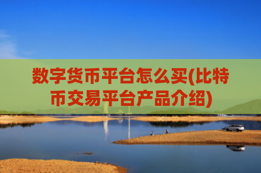 数字货币平台怎么买(比特币交易平台产品介绍)