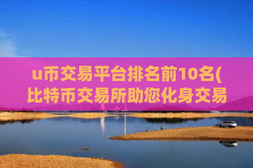 u币交易平台排名前10名(比特币交易所助您化身交易大师)