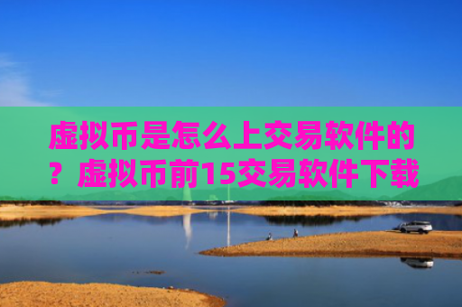 虚拟币是怎么上交易软件的？虚拟币前15交易软件下载