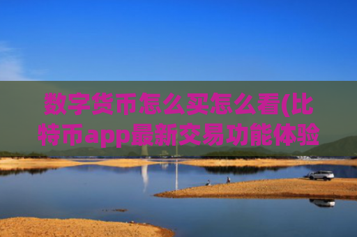 数字货币怎么买怎么看(比特币app最新交易功能体验)