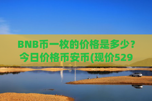 BNB币一枚的价格是多少?今日价格币安币(现价5293.1元)