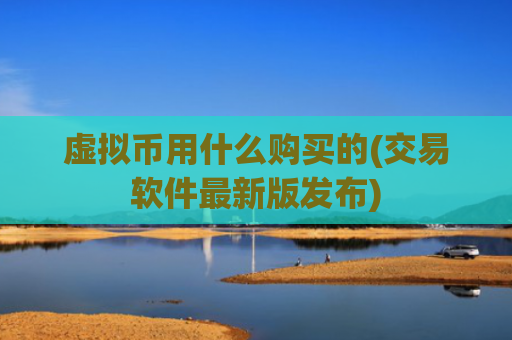 虚拟币用什么购买的(交易软件最新版发布)