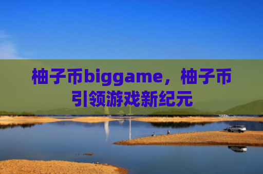 柚子币biggame，柚子币引领游戏新纪元