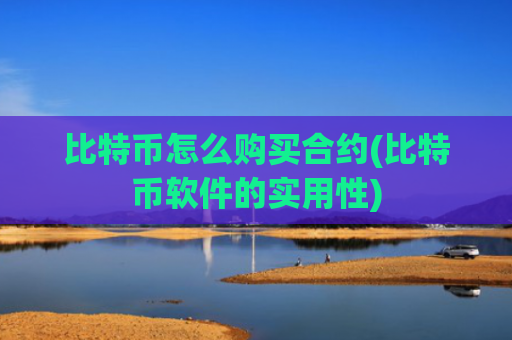 比特币怎么购买合约(比特币软件的实用性)