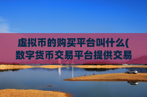虚拟币的购买平台叫什么(数字货币交易平台提供交易服务)