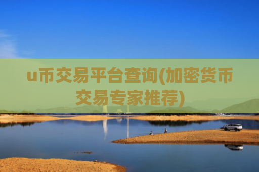 u币交易平台查询(加密货币交易专家推荐)