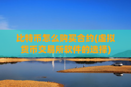 比特币怎么购买合约(虚拟货币交易所软件的选择)