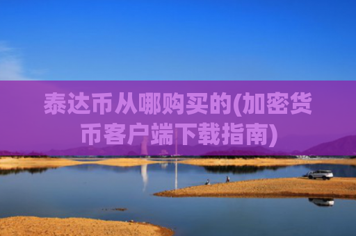 泰达币从哪购买的(加密货币客户端下载指南)