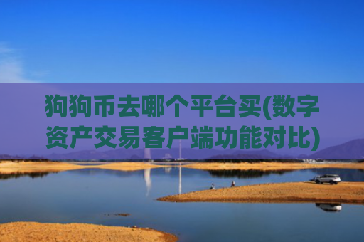 狗狗币去哪个平台买(数字资产交易客户端功能对比)