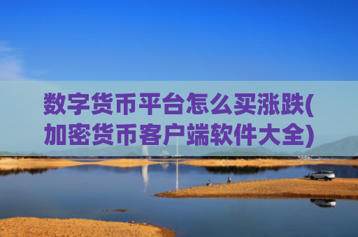 数字货币平台怎么买涨跌(加密货币客户端软件大全)