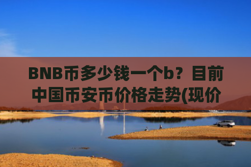 BNB币多少钱一个b?目前中国币安币价格走势(现价5197.11元)