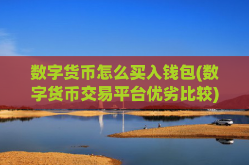 数字货币怎么买入钱包(数字货币交易平台优劣比较)