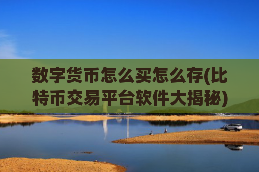数字货币怎么买怎么存(比特币交易平台软件大揭秘)