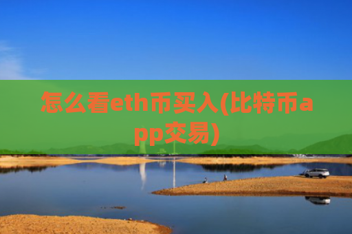 怎么看eth币买入(比特币app交易)