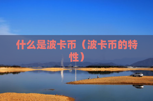 什么是波卡币（波卡币的特性）