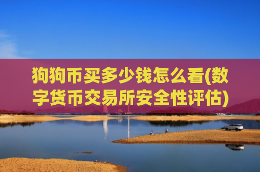 狗狗币买多少钱怎么看(数字货币交易所安全性评估)