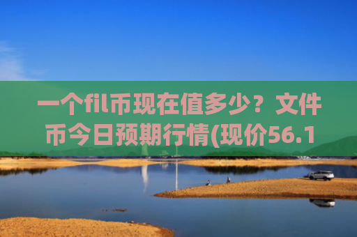 一个fil币现在值多少？文件币今日预期行情(现价56.1809元)