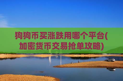 狗狗币买涨跌用哪个平台(加密货币交易抢单攻略)