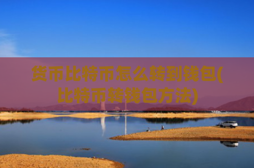 货币比特币怎么转到钱包(比特币转钱包方法)