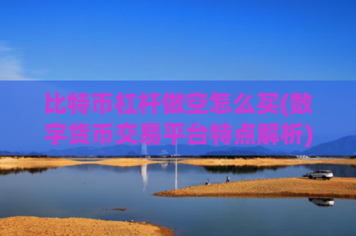 比特币杠杆做空怎么买(数字货币交易平台特点解析)