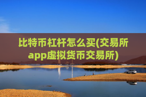 比特币杠杆怎么买(交易所app虚拟货币交易所)