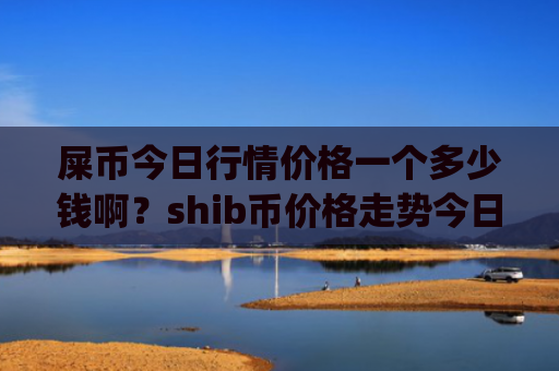 屎币今日行情价格一个多少钱啊？shib币价格走势今日分析(现价0.00022042元)