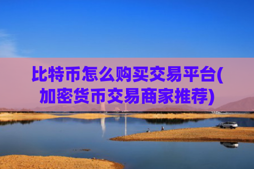 比特币怎么购买交易平台(加密货币交易商家推荐)