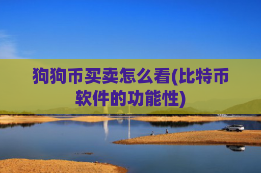 狗狗币买卖怎么看(比特币软件的功能性)