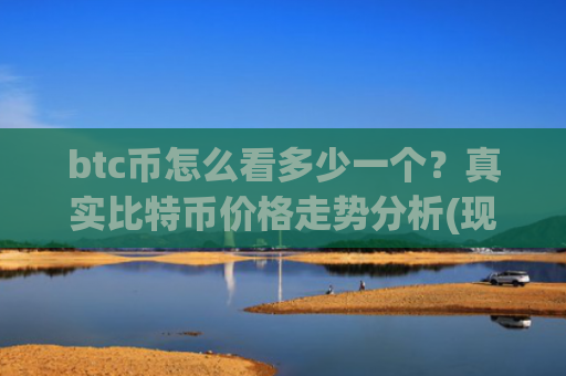btc币怎么看多少一个？真实比特币价格走势分析(现价699030.14元)