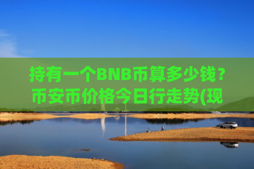 持有一个BNB币算多少钱?币安币价格今日行走势(现价5184.05元)