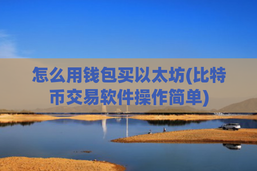 怎么用钱包买以太坊(比特币交易软件操作简单)