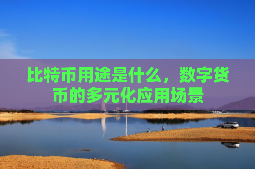 比特币用途是什么，数字货币的多元化应用场景