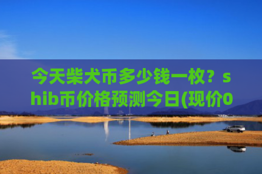 今天柴犬币多少钱一枚？shib币价格预测今日(现价0.00022427元)
