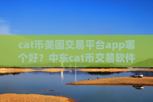 cat币美国交易平台app哪个好？中东cat币交易软件
