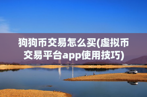 狗狗币交易怎么买(虚拟币交易平台app使用技巧)