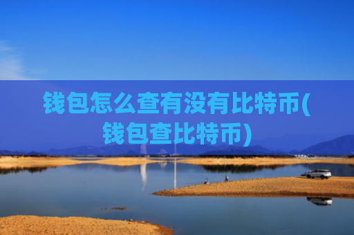 钱包怎么查有没有比特币(钱包查比特币)