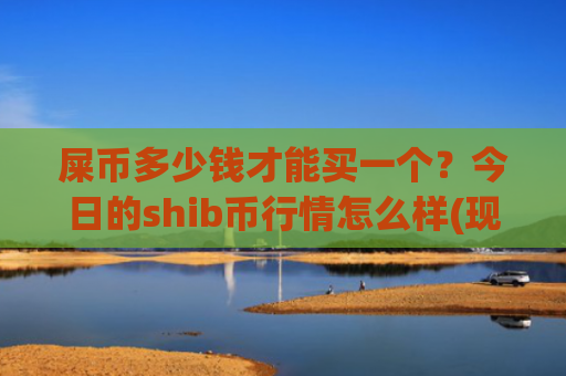 屎币多少钱才能买一个？今日的shib币行情怎么样(现价0.00022412元)