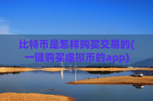 比特币是怎样购买交易的(一键购买虚拟币的app)