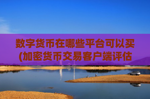 数字货币在哪些平台可以买(加密货币交易客户端评估)